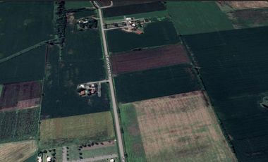 VENTA FRACCION DE 3 HECTAREAS DE CAMPO EN SOLDINI