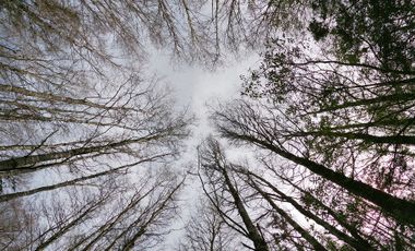 AMPLIO TERRENO URBADO DE 40000 M2 LOS ALAMOS