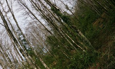 AMPLIO TERRENO URBADO DE 40000 M2 LOS ALAMOS