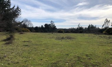 AMPLIO TERRENO URBADO DE 40000 M2 LOS ALAMOS