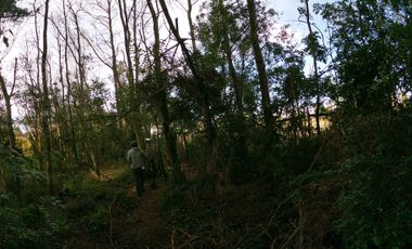 AMPLIO TERRENO URBADO DE 40000 M2 LOS ALAMOS