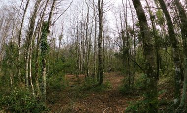 AMPLIO TERRENO URBADO DE 40000 M2 LOS ALAMOS