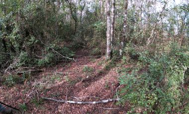 AMPLIO TERRENO URBADO DE 40000 M2 LOS ALAMOS
