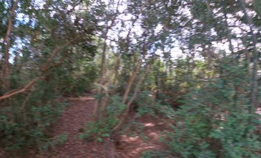 AMPLIO TERRENO URBADO DE 40000 M2 LOS ALAMOS