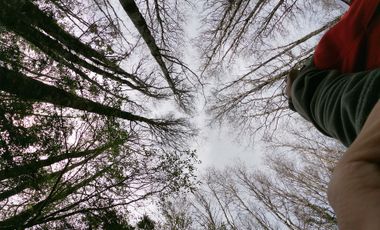 AMPLIO TERRENO URBADO DE 40000 M2 LOS ALAMOS