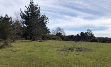 AMPLIO TERRENO URBADO DE 40000 M2 LOS ALAMOS