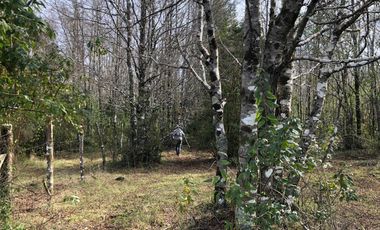 AMPLIO TERRENO URBADO DE 40000 M2 LOS ALAMOS