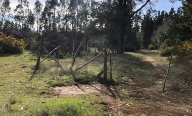 AMPLIO TERRENO URBADO DE 40000 M2 LOS ALAMOS
