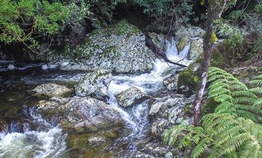 Parcela en Venta en RAUCO