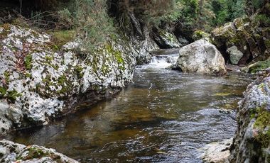 Parcela en Venta en RAUCO