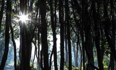 Parcela en Venta en RAUCO