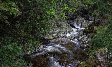 Parcela en Venta en RAUCO