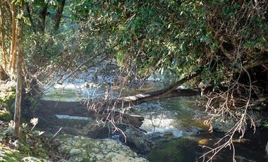 Parcela en Venta en RAUCO