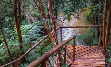 Parcela en Venta en RAUCO