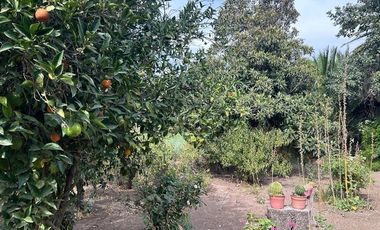 Casa en Arriendo en Vicuña Mackena