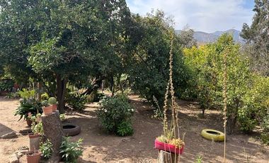 Casa en Arriendo en Vicuña Mackena