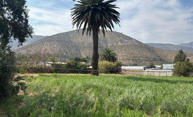 Casa en Arriendo en Vicuña Mackena