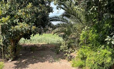 Casa en Arriendo en Vicuña Mackena