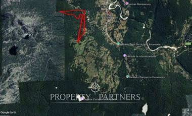 Oportunidad de 39,5 Ha de terreno cordillera en Liquiñe