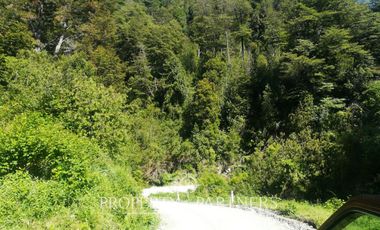 Oportunidad de 39,5 Ha de terreno cordillera en Liquiñe