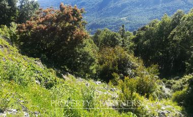 Oportunidad de 39,5 Ha de terreno cordillera en Liquiñe