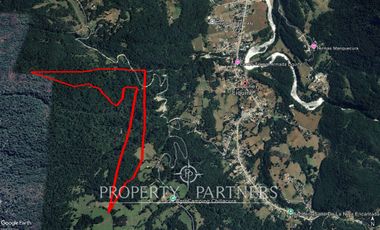 Oportunidad de 39,5 Ha de terreno cordillera en Liquiñe
