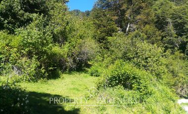 Oportunidad de 39,5 Ha de terreno cordillera en Liquiñe