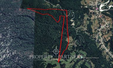 Oportunidad de 39,5 Ha de terreno cordillera en Liquiñe