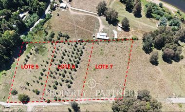 Parcela media Ha orilla Río Cruces