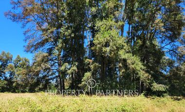 Parcela media Ha orilla Río Cruces