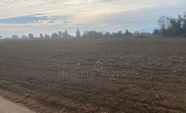 San Fernando, Exclusivo Loteo en Los Nogales en Pedehue