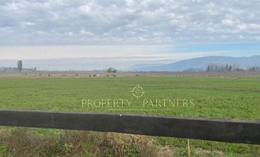 San Fernando, Exclusivo Loteo en Los Nogales en Pedehue