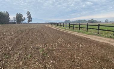 San Fernando, Exclusivo Loteo en Los Nogales en Pedehue