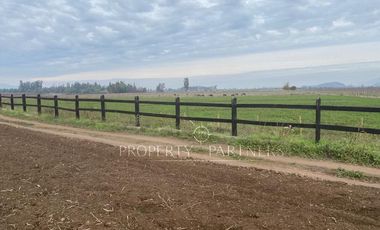 San Fernando, Exclusivo Loteo en Los Nogales en Pedehue