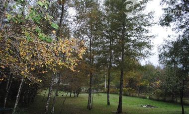 Agrícola en Venta en Ruta Q-61 complejo turístico wirkaleufu, sector la peña