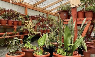 Agrícola en Venta en Ruta Q-61 complejo turístico wirkaleufu, sector la peña