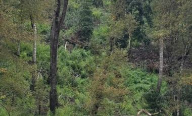 Agrícola en Venta en Ruta Q-61 complejo turístico wirkaleufu, sector la peña