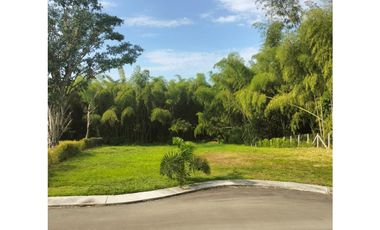 VENTA DE HERMOSO LOTE CAMPESTRE PLANO SECTOR EL TIGRE PEREIRA