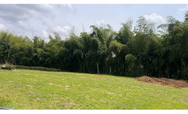 VENTA DE HERMOSO LOTE CAMPESTRE PLANO SECTOR EL TIGRE PEREIRA