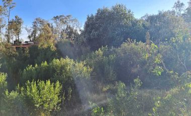 TERRENO EN VENTA EN LAS ÁNIMAS, NAUCALPAN DE JUÁREZ