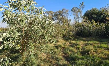 TERRENO EN VENTA EN LAS ÁNIMAS, NAUCALPAN DE JUÁREZ