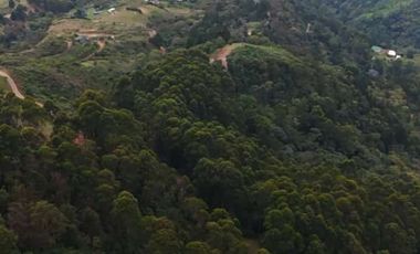 Venta Lotes Camprestres - Caldas Antioquia (Area Metropolitana)