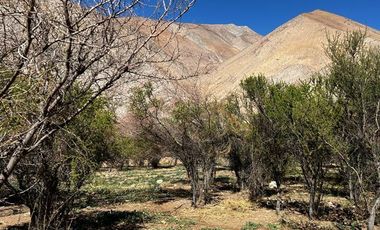 Sitio en Venta en A escasos metros del Restaurante EL durmiente Elquino