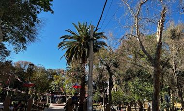 Sitio en Venta en A escasos metros del Restaurante EL durmiente Elquino
