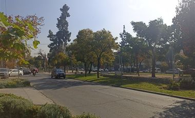Local Comercial en Arriendo en Avenida colón cerca de amércia