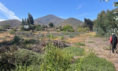 Sitio en Venta en Camino a pisco de elqui