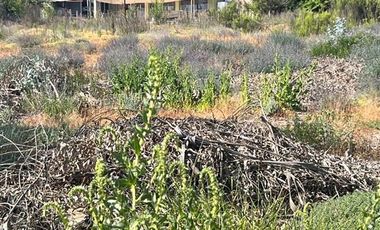 Sitio en Venta en Camino a pisco de elqui