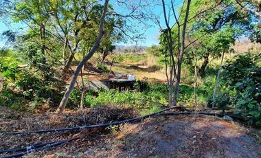 Venta Finca en Barrio Santa Elena, Villa Guerrero Cerca de Ixtapan de La Sal