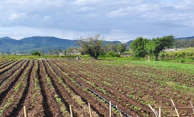 Venta Finca en Barrio Santa Elena, Villa Guerrero Cerca de Ixtapan de La Sal