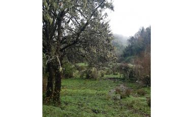SE VENDE HERMOSO CAMPO   QUICHAMAHUIDA - TRAIGUEN